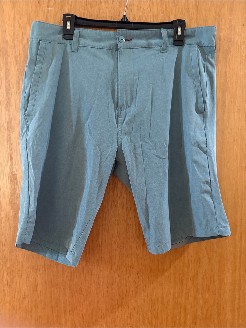 burnside Men's Flat Front Shorts - Teal Blue
